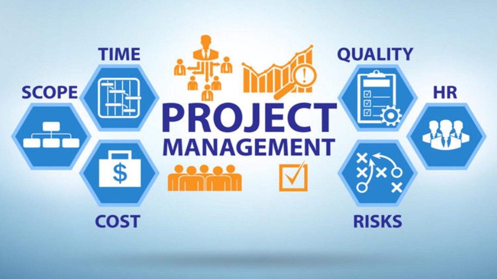 Project Management Consultancy & Advisory Services